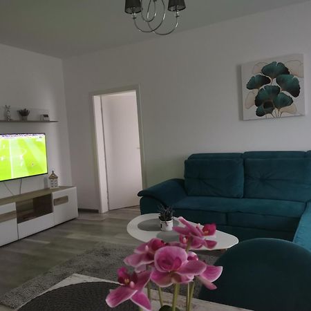 Apartmant Melinda M26 布拉索夫 外观 照片